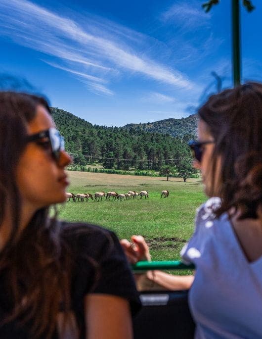 3 activités originales autour de Nice